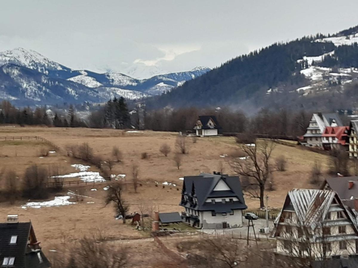 Willa U Magdy Zakopane Dış mekan fotoğraf