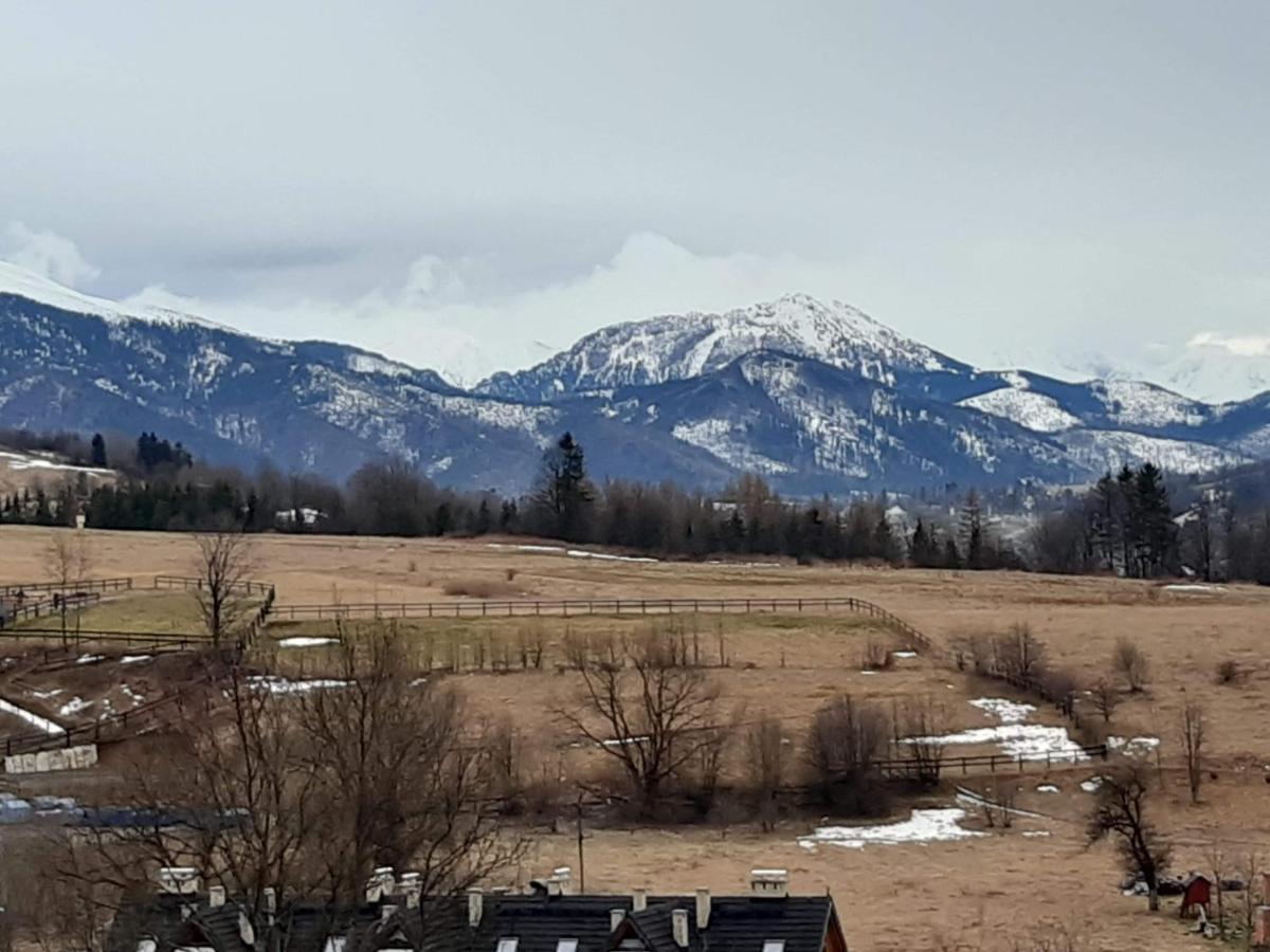 Willa U Magdy Zakopane Dış mekan fotoğraf