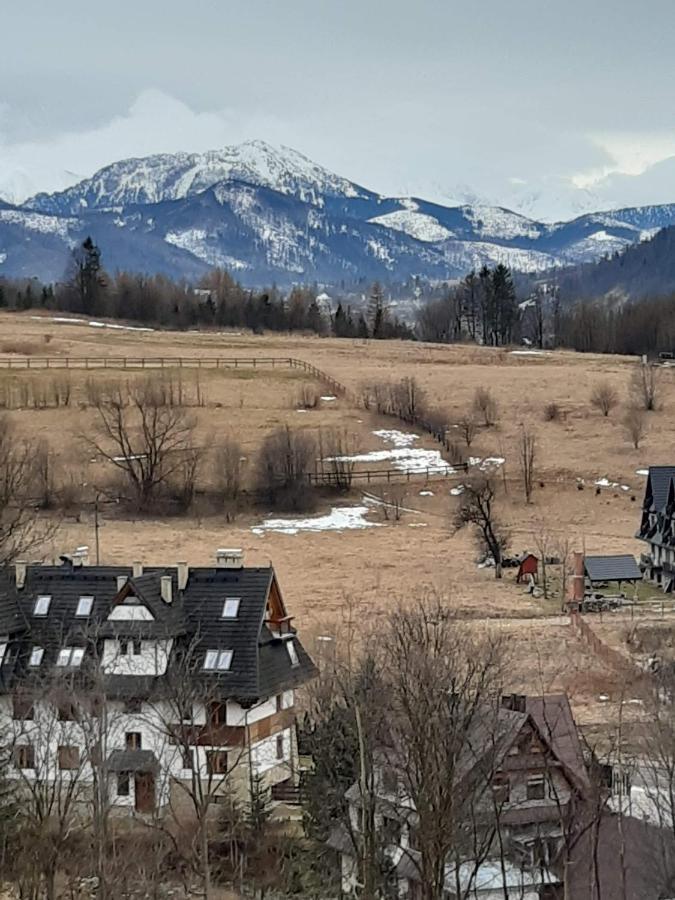 Willa U Magdy Zakopane Dış mekan fotoğraf