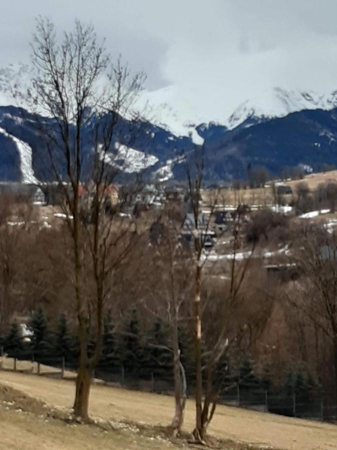 Willa U Magdy Zakopane Dış mekan fotoğraf